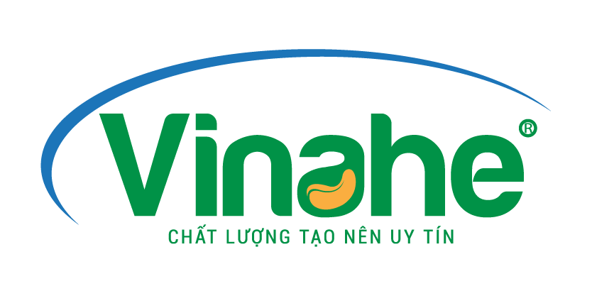 LOGO VINAHE